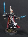 Farseer 1